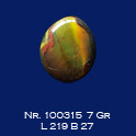sieraad 100315